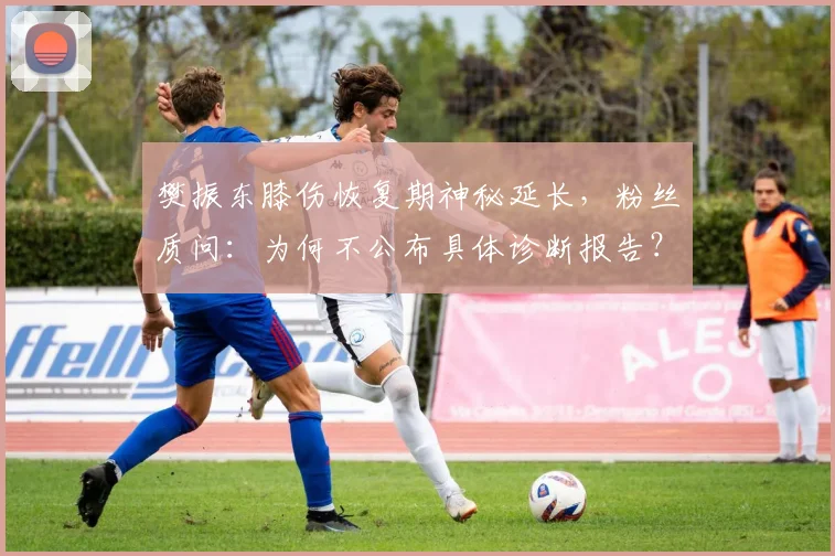 樊振东膝伤恢复期神秘延长,粉丝质问:为何不公布具体诊断报告?