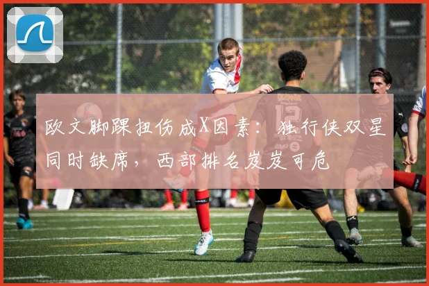 欧文脚踝扭伤成X因素：独行侠双星同时缺席，西部排名岌岌可危